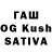 Псилоцибиновые грибы GOLDEN TEACHER Benjamin Kline