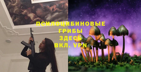 марки lsd Абаза