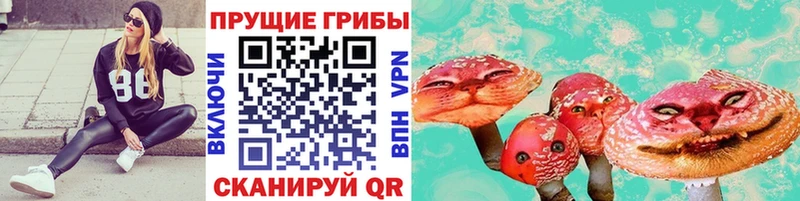 где продают наркотики  МЕГА онион  Галлюциногенные грибы Psilocybine cubensis  Усолье 